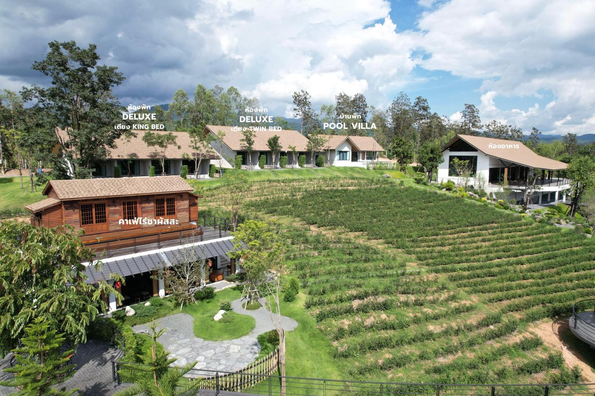 Ban Huai Kaeo Passa ผัสสะ Tea Plantation @Mae On酒店 外观 照片